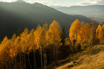 A charming mountain landscape in the Bucegi mountains, Carpathians, Romania. Autumn nature in Moeciu de Sus, Transylvania