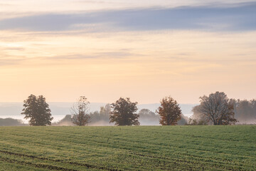 Nebel am Morgen über den Feldern am Plauer See in Mecklenburg-Vorpommern im Herbst - obrazy, fototapety, plakaty
