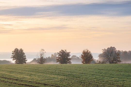 Nebel am Morgen über den Feldern am Plauer See in Mecklenburg-Vorpommern im Herbst