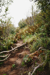 Hiking trail, Bieszczady Mountains - Sep 2016 - Poland