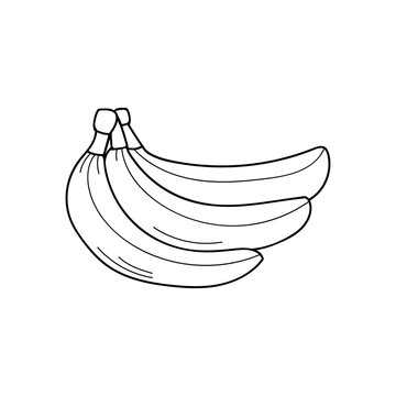 recommend clip art: Banana doodle illustration in vector. Banana hand drawn illustration. Tropical fruit in vector