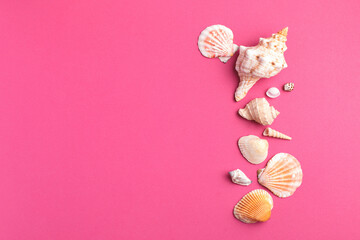Summer bright pink background with seashells decorations. Blank space for your design.