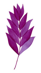 A hand drawn watercolor twig with leaves. Watercolor botanical illustration, isolated on transparent background. For botanical design, website design, postcard design.