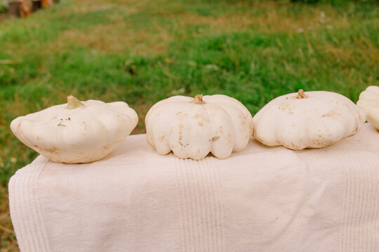 Squashes placed in row on light textile