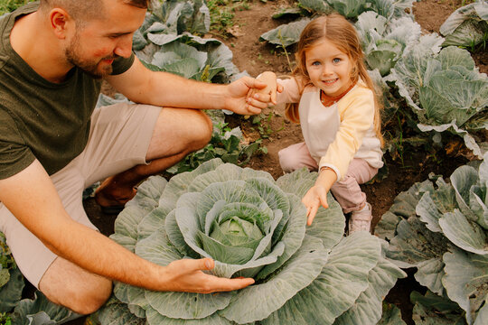 Happy father and daughter spending time in garden with growing cabbage