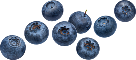 Blueberry berry isolated