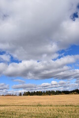 Obraz premium An autumn sky, Sainte-Apolline, Québec, Canada