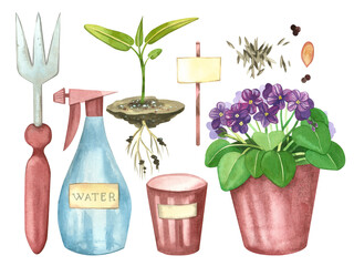 A set of gardening-themed elements hand-drawn in watercolor on a white background. Flower pots, a pot with violets, garden tools, seeds, sprout. For printing, design, scrapbooking.