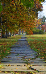 Sidewalk in Autumn