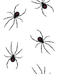 Vector seamless pattern of flat hand drawn spider isolated on white background