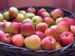 Red apples florina in a basket.