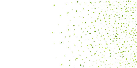 Leaves Green Falling Flying Foliage Leaf Tea Mint