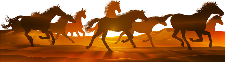 Running Horses Silhouette Herd Background