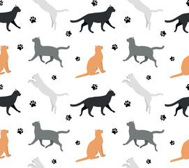 Obraz premium Vector seamless pattern of flat different cats isolated on white background