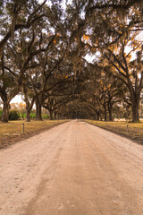 Beautiful place in savannah, georgia called wormsloe.