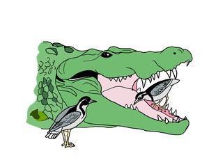 crocodile and bird symbiosis cooperating