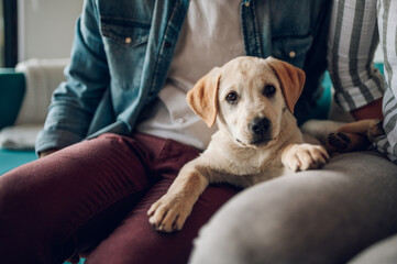 Couple petting their adopted dog while sitting on the couch at home
