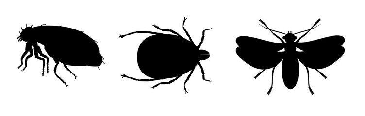 Illustration of black insect pests on a white background