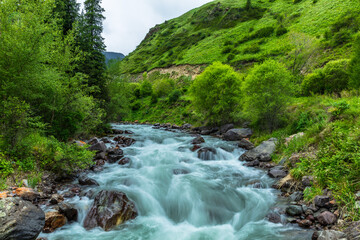 waterfall in the mountains