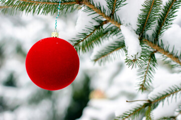 Red Christmas ball on spruce branch