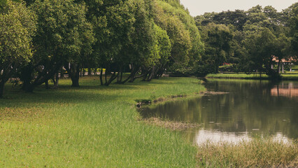 Natural public garden with green grass and tree, Green place with a freshness condition.