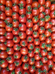 Background of cherry tomatoes in a box ready for delivery to the market