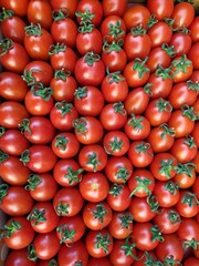 Background of cherry tomatoes in a box ready for delivery to the market