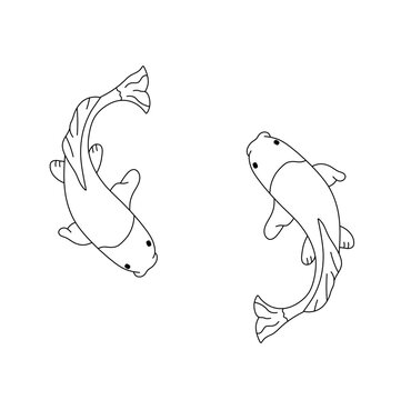 Vector isolated two floating koi karps side view colorless black and white contour line easy drawing
