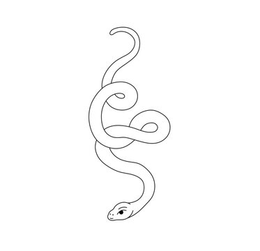 Vector isolated curled crawling down snake colorless black and white contour line easy drawing