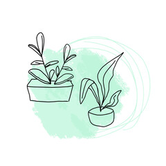 Two flowers in pots on a background of green paint spots. Doodle potted flowers on a background of paint stains. Vector doodle on the background of a paint spot.
