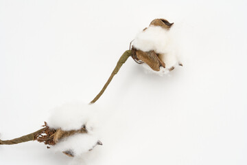 Christmas ornaments isolated on white 