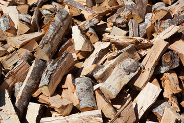 Trunk of wood in Baquedano, Navarra, Spain