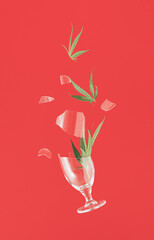 Broken glass with green marijuana, cannabis leaves against red background. Minimal holiday, party concept.