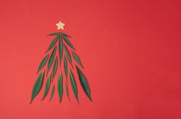 Christmas composition. Christmas tree made of green marijuana, cannabis leaves and gold star on red...