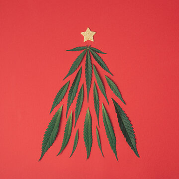 Christmas tree made of green marijuana, cannabis leaves and gold star on red background. Flat lay, top view. Minimal winter holiday concept.