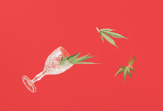 Crystal wine glass with green marijuana, cannabis leaves against red background. Minimal holiday, party concept.