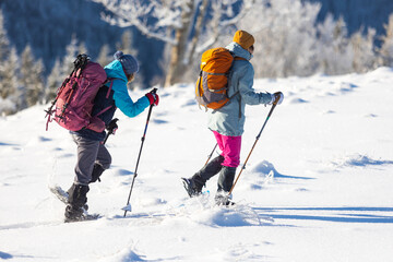 two girls with backpacks walk through the snow among the trees. winter hiking in the mountains..