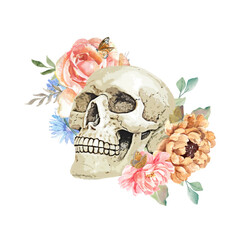Skull Png Format With Transparent Background