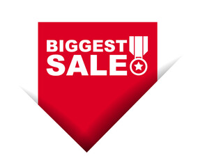 red vector illustration banner biggest sale