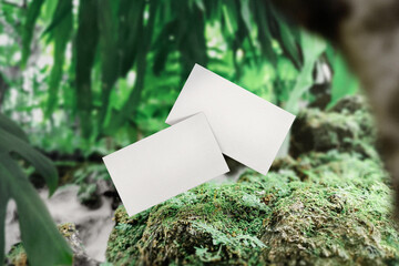 Clean minimal business card mockup floating on moss with plants background