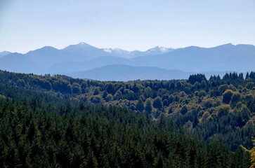 Beautiful landscape of autumn  forest in Plana mountain against the background of Rila mountain, Bulgaria  