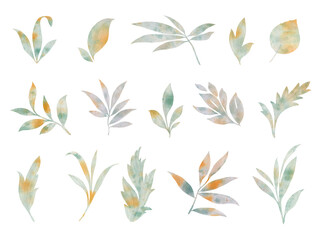 Set of watercolor leaves for design of cards and invitations