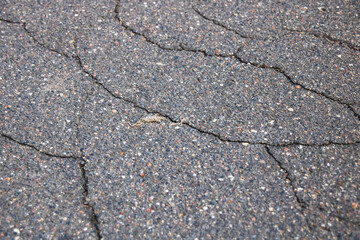 Obraz premium Cracks on the asphalt background or texture