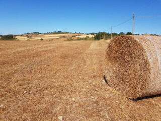 Ambiente Natura © Rik De Santis