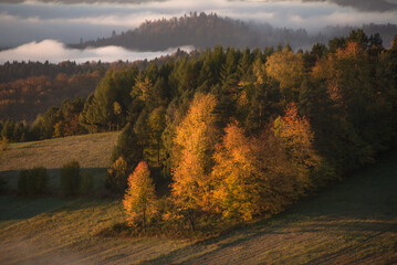 Jesienny krajobraz z drzewami, górą i mgłą.
