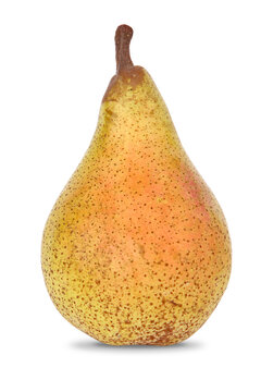 Poire de la vari&eacute;t&eacute; &lsquo;Abate&lsquo;

