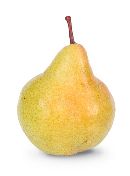 Poire de la vari&eacute;t&eacute; &lsquo;Packam's&lsquo;