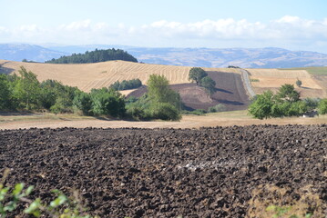 Ambiente Natura © Rik De Santis