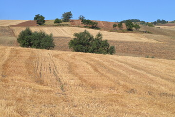 Ambiente Natura © Rik De Santis