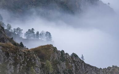 A rocky mountain covered with trees protrudes and rises above the clouds and fog, the ridge of the mountain in the fog in autumn